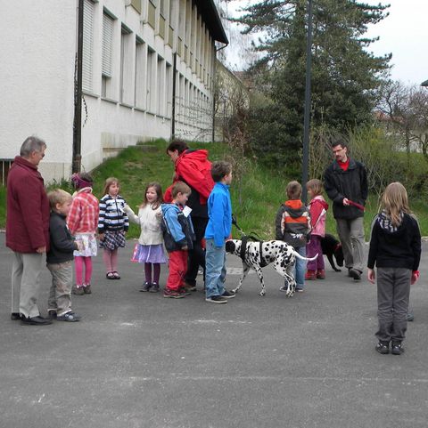 Hund gehen durch Kindergruppe Hund gehen durch Kindergruppe
