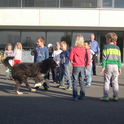 Unbekannter Hund springt durch Kinder Unbekannter Hund springt durch Kinder