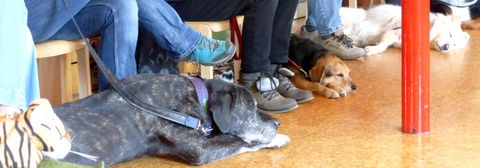 Enge Platzverhältnisse im Kindergarten Enge Platzverhältnisse im Kindergarten