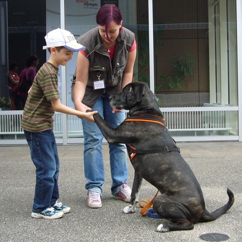 Kind streichelt Hund Kind streichelt Hund